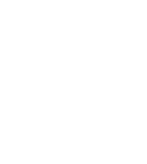 IMM